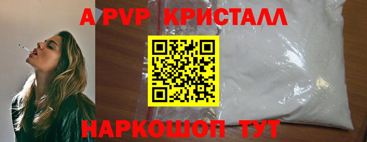 A-PVP СК Анжеро-Судженск