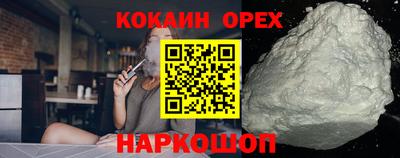 крисы Абакан