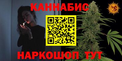 крисы Абакан