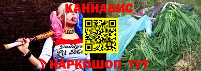 крисы Абакан