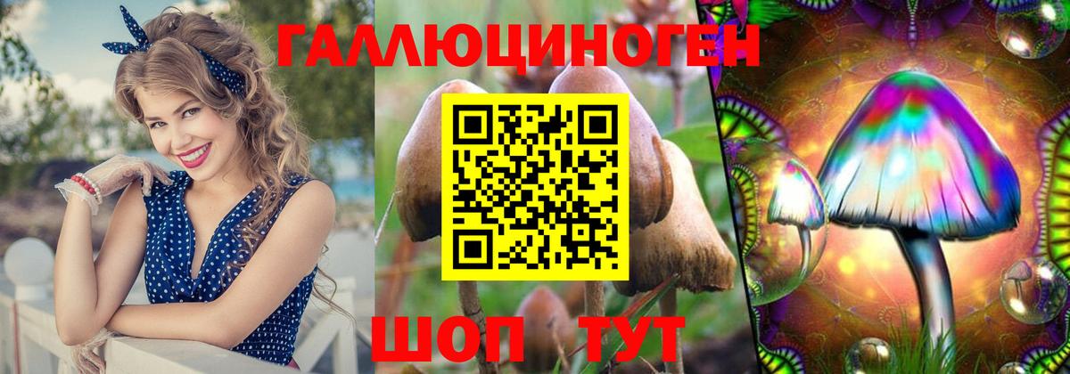 Галлюциногенные грибы Magic Shrooms  Галлюциногенные грибы Psilocybe  Вход с VPN  Анжеро-Судженск 