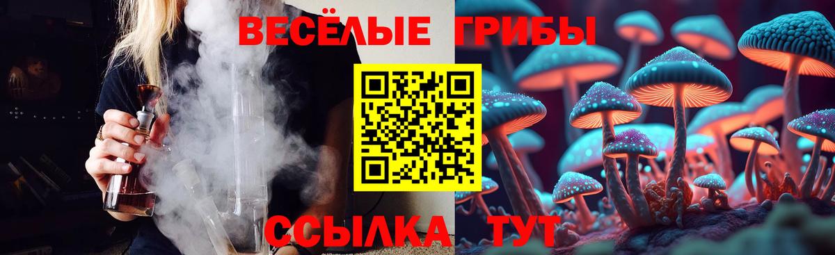 Псилоцибиновые грибы мухоморы Анжеро-Судженск